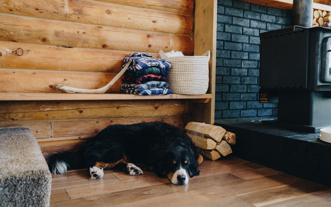 Dog in front of a stack of MuskOx Flannels